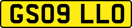 GS09LLO