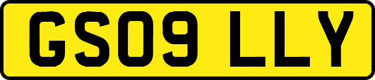 GS09LLY