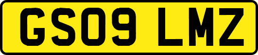 GS09LMZ