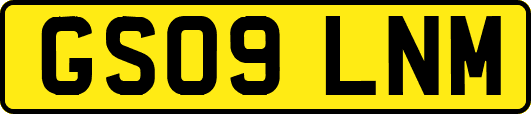 GS09LNM