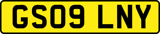 GS09LNY