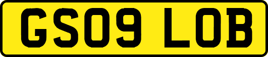 GS09LOB