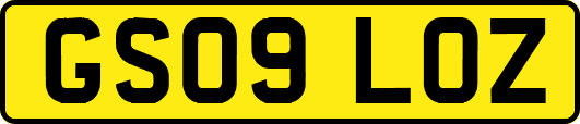 GS09LOZ