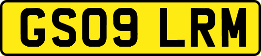 GS09LRM