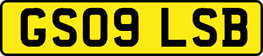 GS09LSB