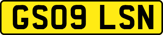 GS09LSN