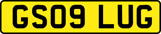 GS09LUG
