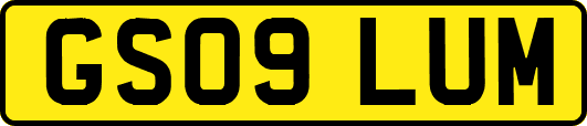 GS09LUM