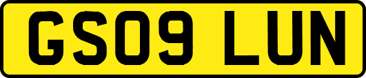 GS09LUN