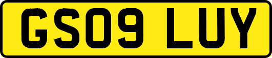 GS09LUY