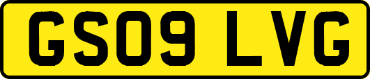 GS09LVG