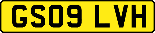 GS09LVH