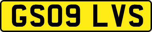 GS09LVS