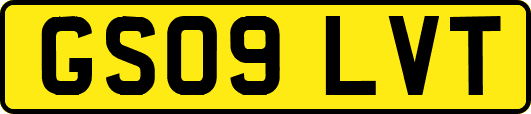 GS09LVT