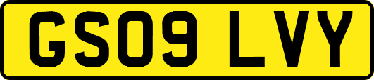 GS09LVY