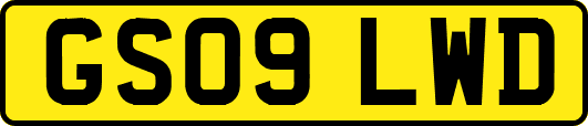 GS09LWD