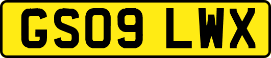 GS09LWX