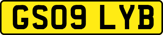 GS09LYB