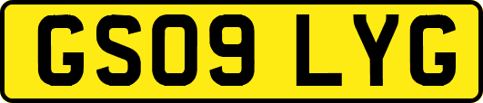GS09LYG