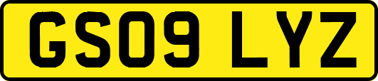 GS09LYZ