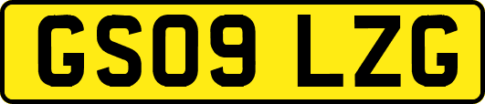 GS09LZG