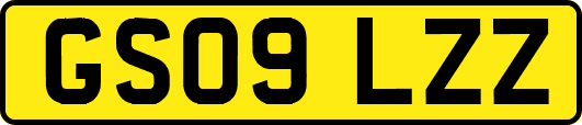 GS09LZZ