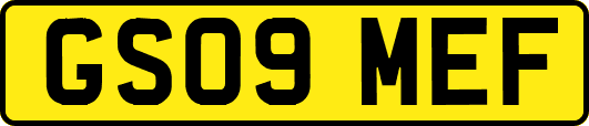 GS09MEF