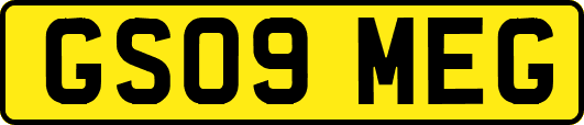GS09MEG