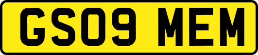 GS09MEM