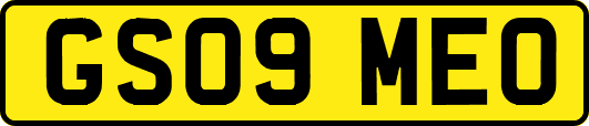 GS09MEO