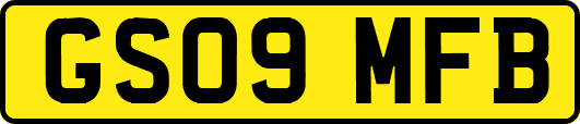 GS09MFB
