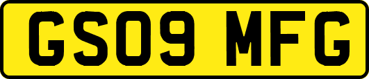 GS09MFG