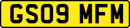 GS09MFM