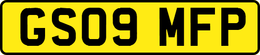 GS09MFP
