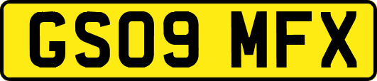 GS09MFX