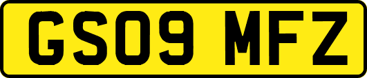 GS09MFZ