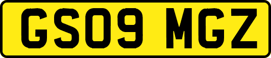 GS09MGZ