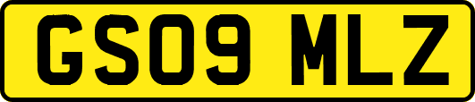 GS09MLZ