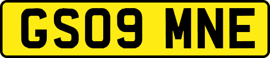 GS09MNE