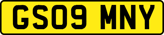 GS09MNY