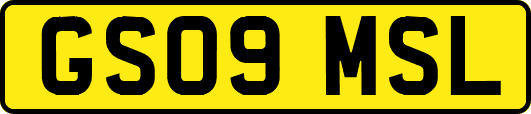 GS09MSL