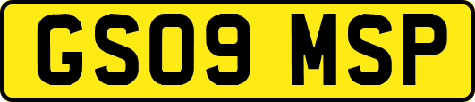GS09MSP