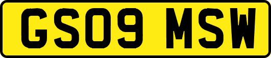 GS09MSW