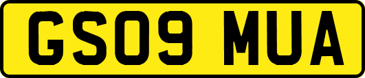 GS09MUA