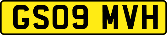 GS09MVH