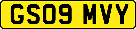 GS09MVY