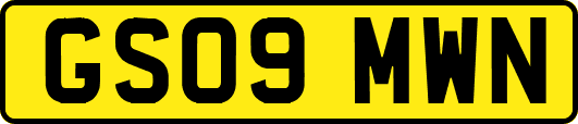 GS09MWN