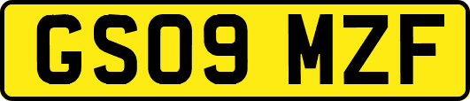 GS09MZF