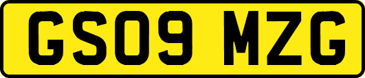 GS09MZG