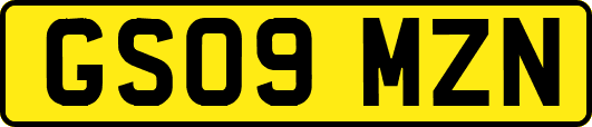 GS09MZN